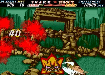 image de The First Funky Fighter